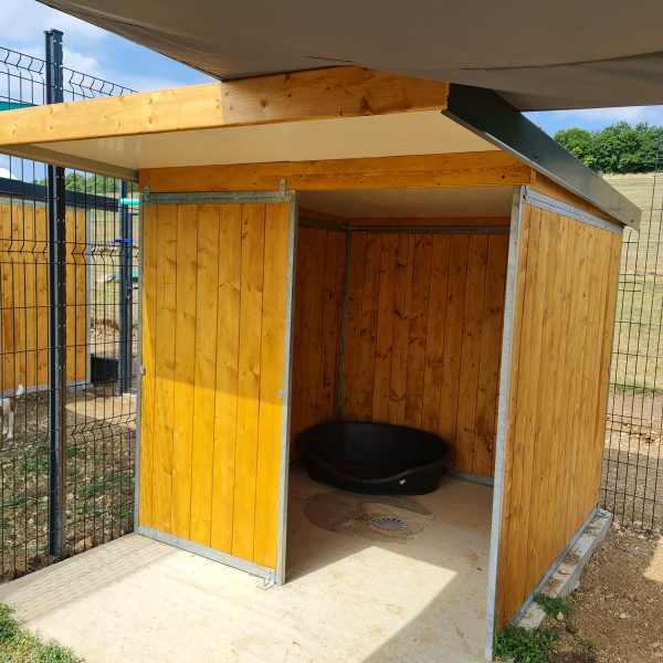 box chien